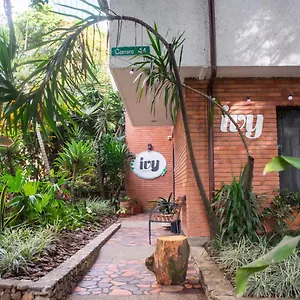 Ivy Auberge de jeunesse